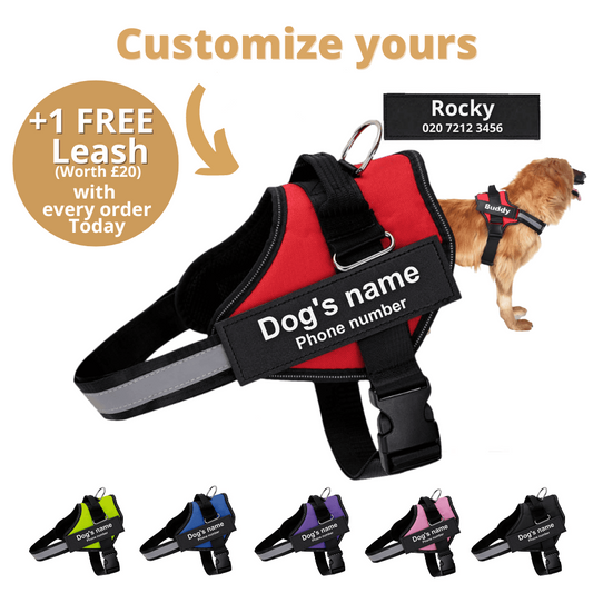 Pawbb™ Ultimate Personalized No Pull Dog Harness