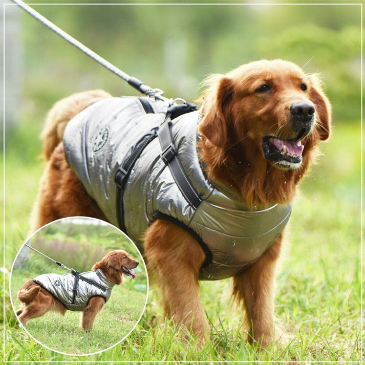 Pawbb™ – Wasserdichte Winterjacke mit integriertem Gurt