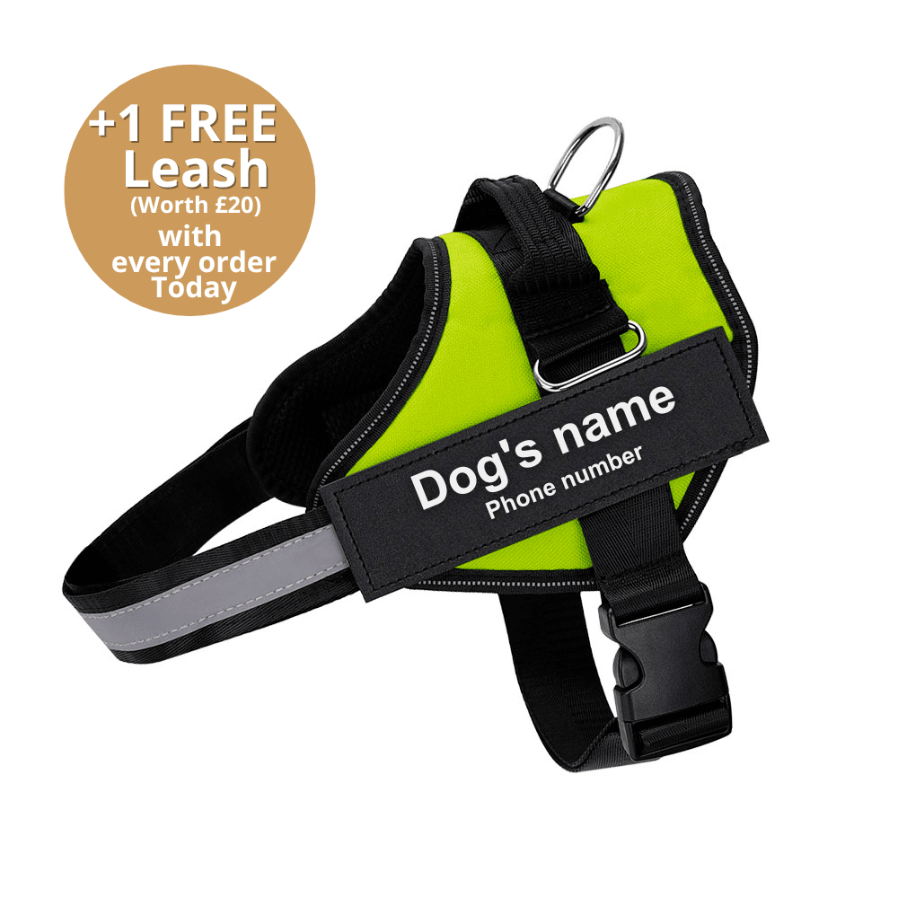 Pawbb™ Ultimate Personalized No Pull Dog Harness