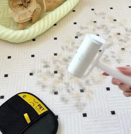 Pawbb™ 3 in 1 Magic Brush