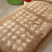 Pawbb™ 3 in 1 Magic Brush