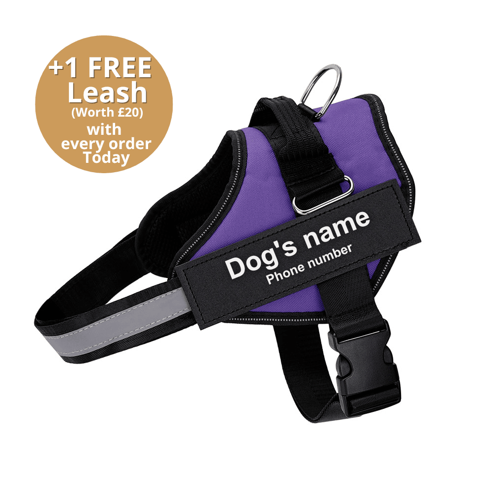 Pawbb™ Ultimate Personalized No Pull Dog Harness