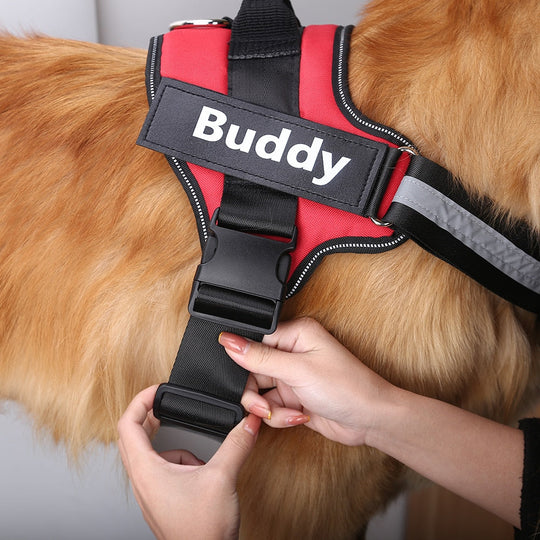 Pawbb™ Ultimate Personalized No Pull Dog Harness