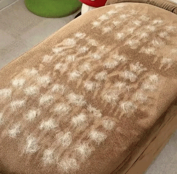 Pawbb™ 3 in 1 Magic Brush