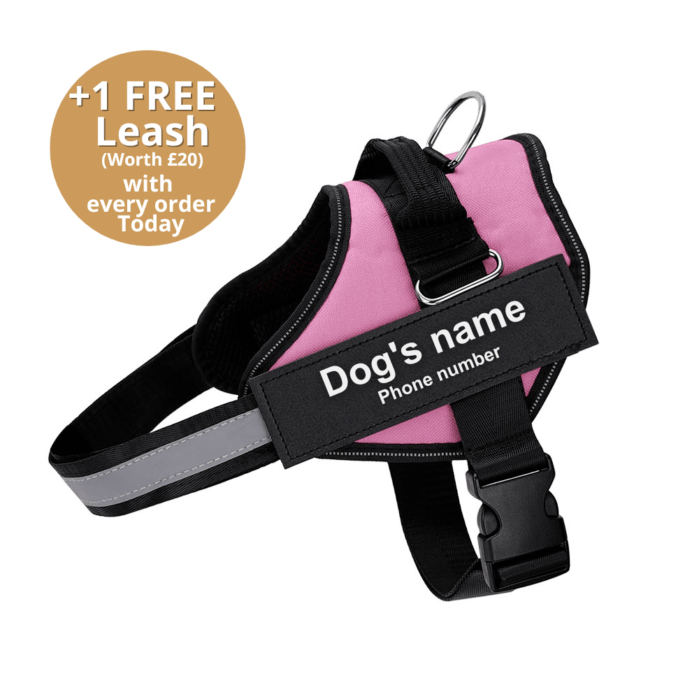 Pawbb™ Ultimate Personalized No Pull Dog Harness