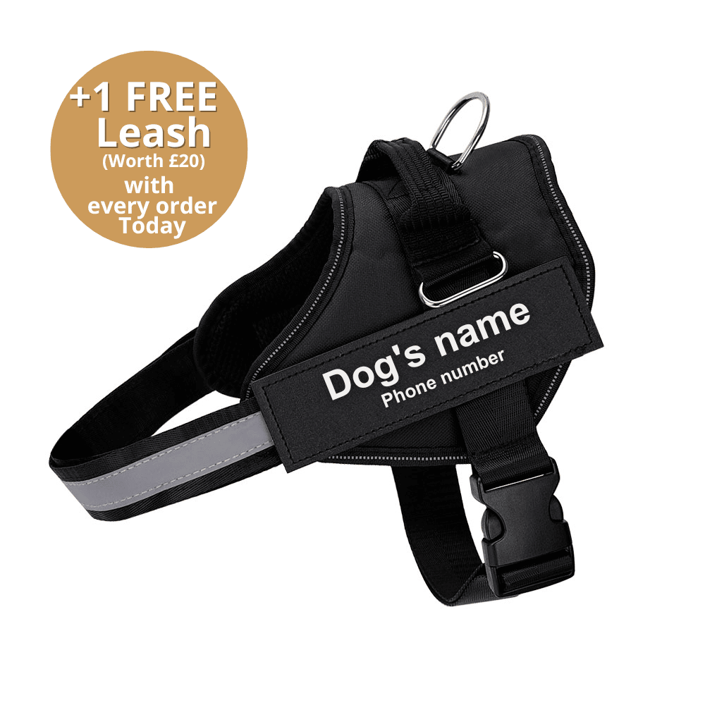 Pawbb™ Ultimate Personalized No Pull Dog Harness