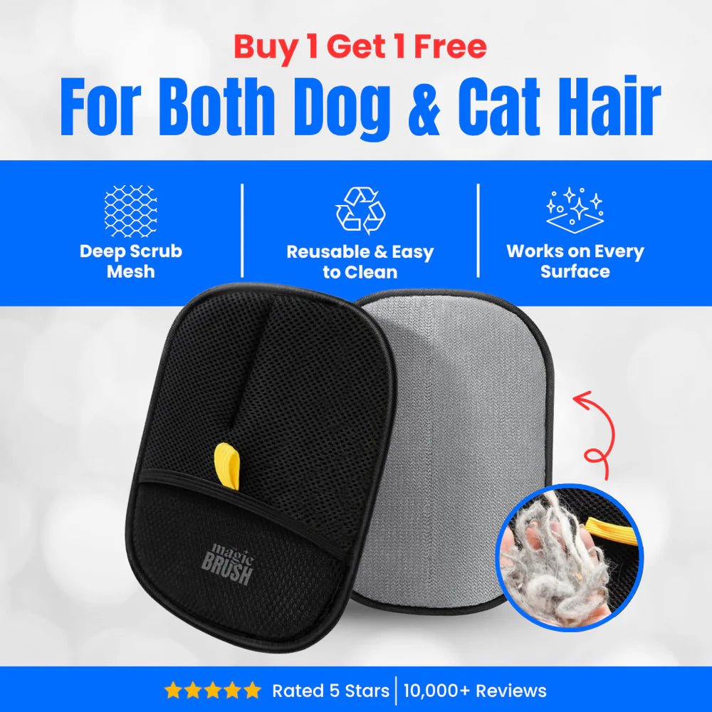 Pawbb™ 3 in 1 Magic Brush