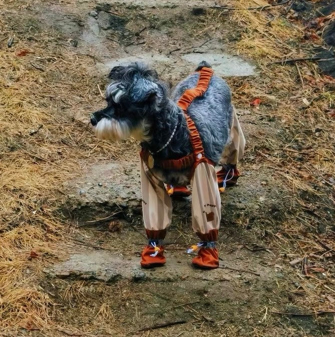 Pet lightweight dust-proof pants
