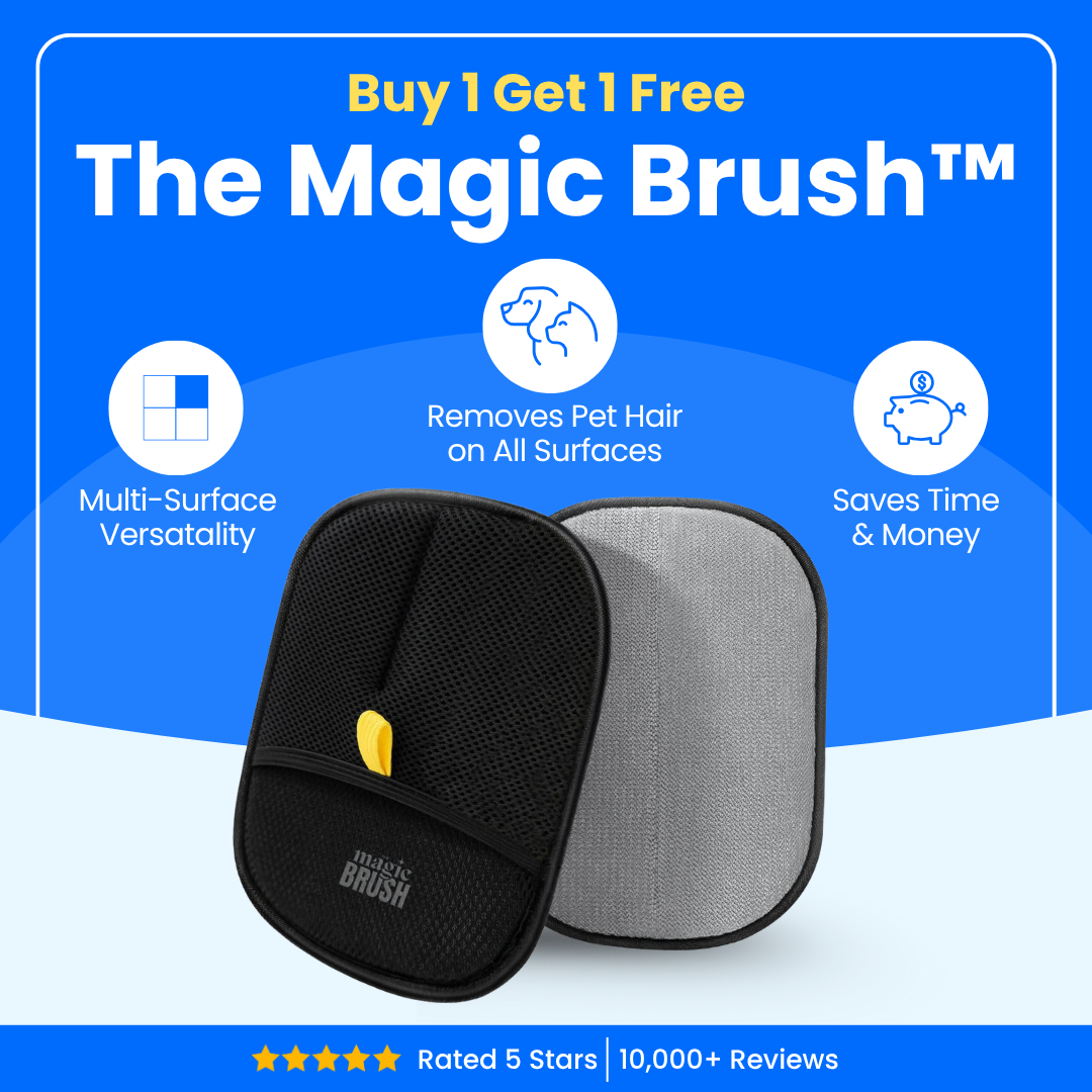 Pawbb™ 3 in 1 Magic Brush