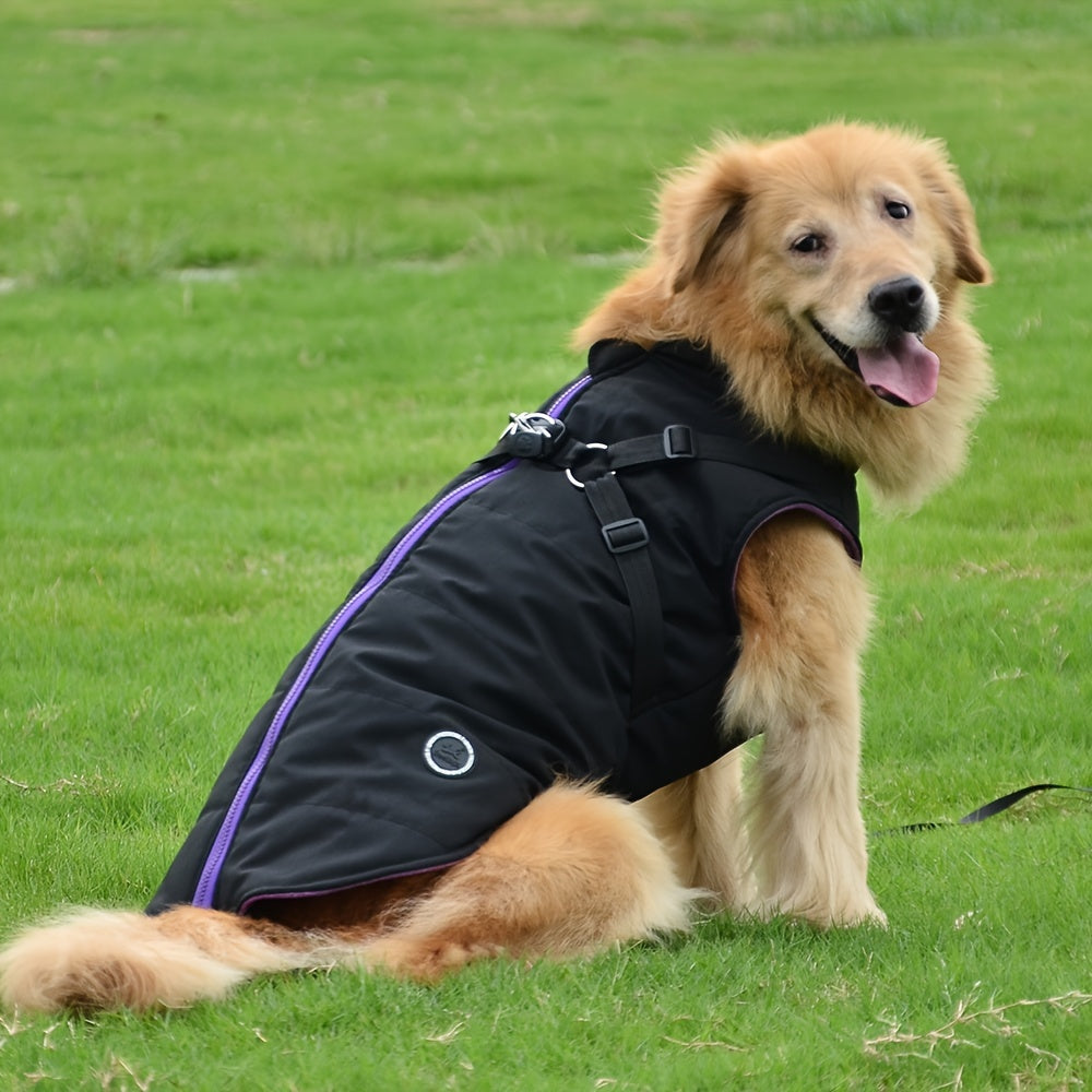 Warm Padded Dog Vest with Harness