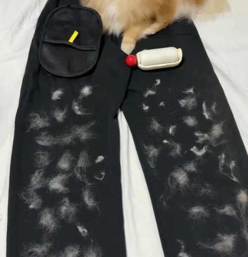Pawbb™ 3 in 1 Magic Brush