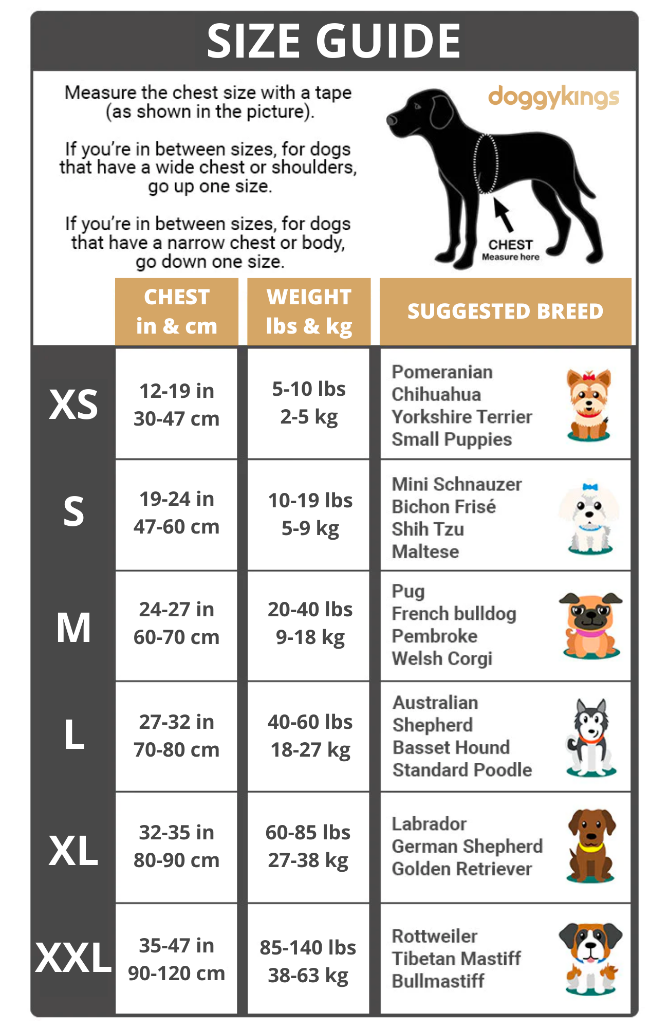 Pawbb™ Ultimate Personalized No Pull Dog Harness
