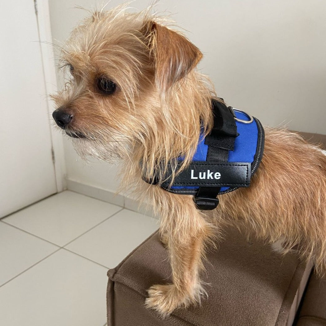 Pawbb™ Ultimate Personalized No Pull Dog Harness