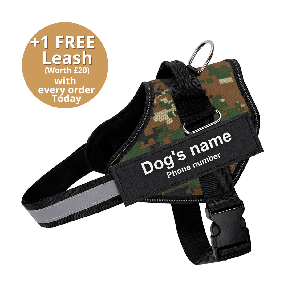 Pawbb™ Ultimate Personalized No Pull Dog Harness