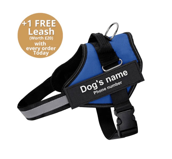 Pawbb™ Ultimate Personalized No Pull Dog Harness