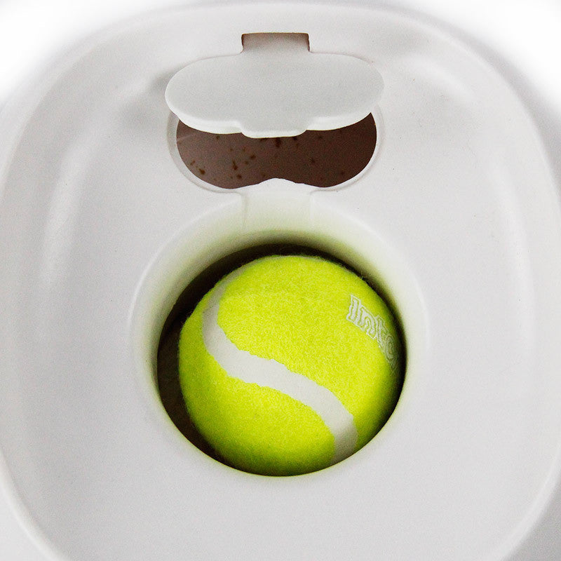Manual Treat Reward Launcher Toy