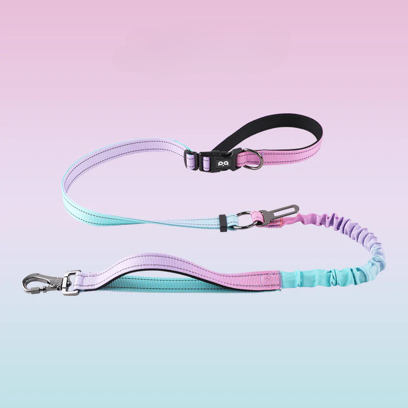 Hands-free dog leash, crossbody dog leash, with car seat belt, suitable for walking, jogging, hiking, traveling, etc.