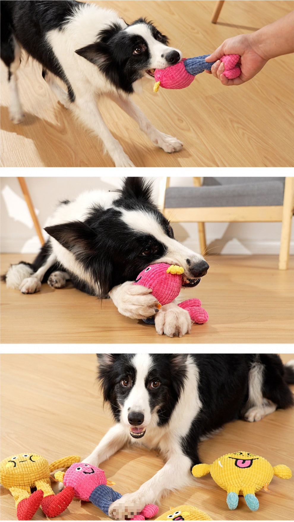 ✨Hot Sale🎁 Interactive Plush Cat Squeaky Toy