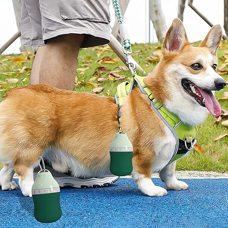2-in-1 Portable Pet Water Bottle: Leakproof Dog Water Dispenser with Collapsible Feeder Bowl for Outdoor Dog Travel