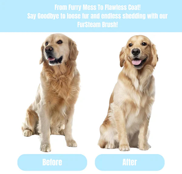 Pawbb™ FurSteam Brush