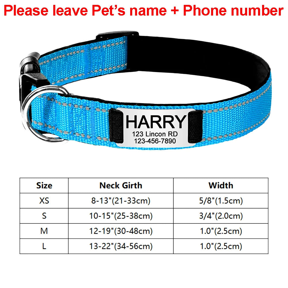 Engraved D-Ring Adjustable Nylon Collar for Small & Medium Dogs