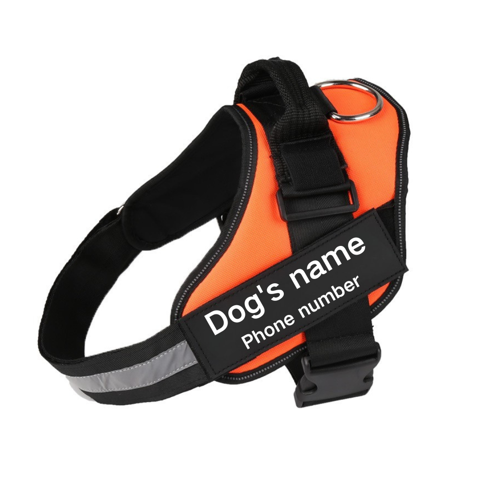 Pawbb™ Ultimate Personalized No Pull Dog Harness