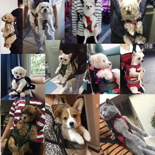 Portable travel pet backpack with four chest holes
