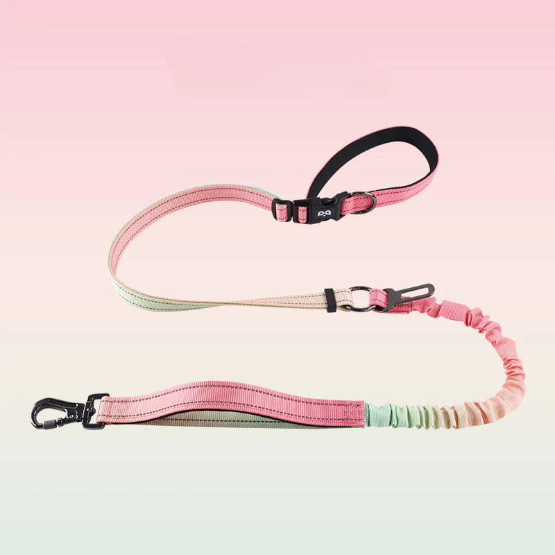 Hands-free dog leash, crossbody dog leash, with car seat belt, suitable for walking, jogging, hiking, traveling, etc.
