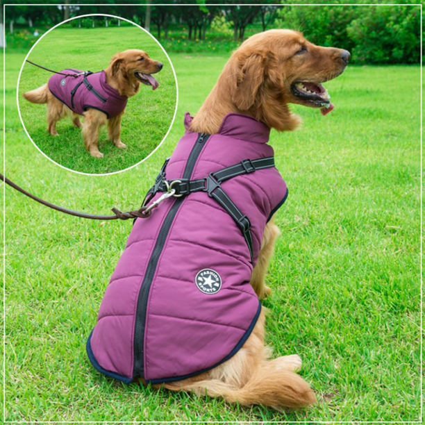 Pawbb™ - Waterproof Jacket Harness - Blue