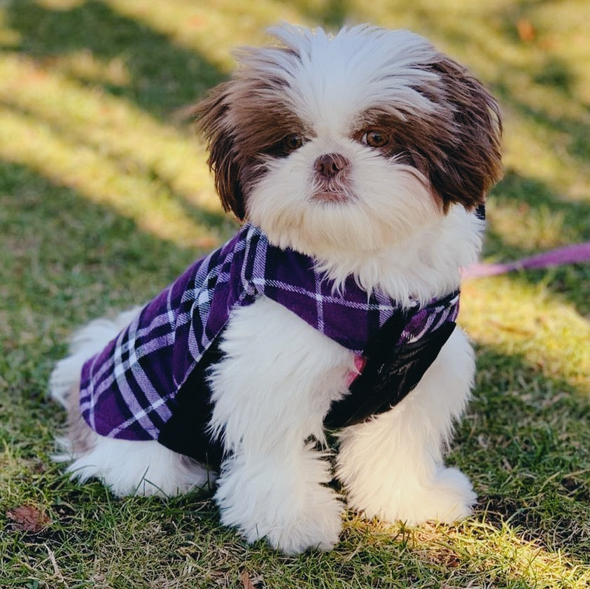 Plaid Reversible Dog Jacket for Winter