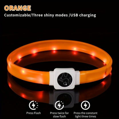 USB Rechargeable LED Dog Collar