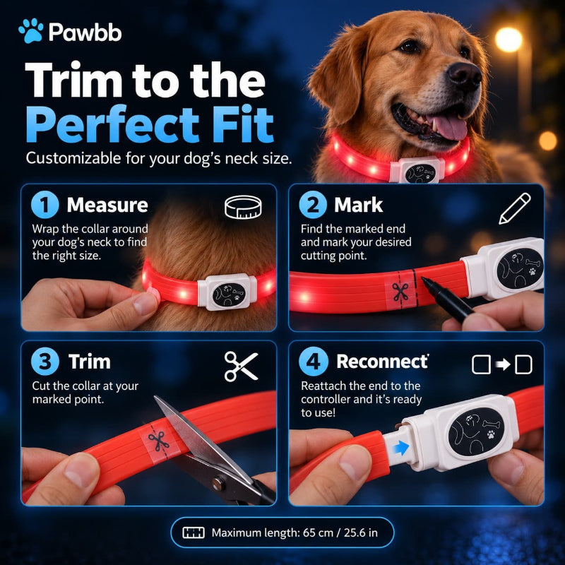 LED Night-Walk Safety Collar