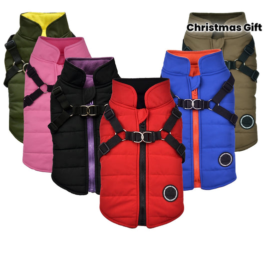 Warm Padded Dog Vest with Harness