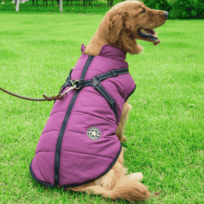 Pawbb™ - Waterproof Winter Jacket with Built-in Harness