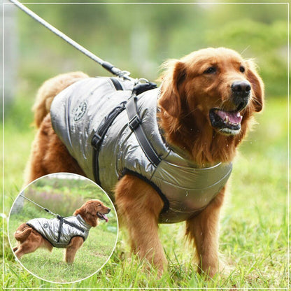 Pawbb™ – Wasserdichte Winterjacke mit integriertem Gurt