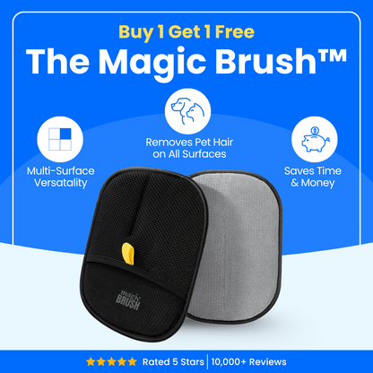 Pawbb™ 3 in 1 Magic Brush