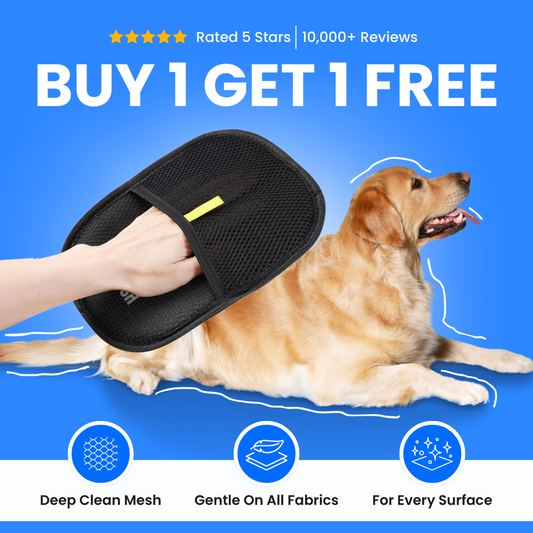 Pawbb™ 3 in 1 Magic Brush
