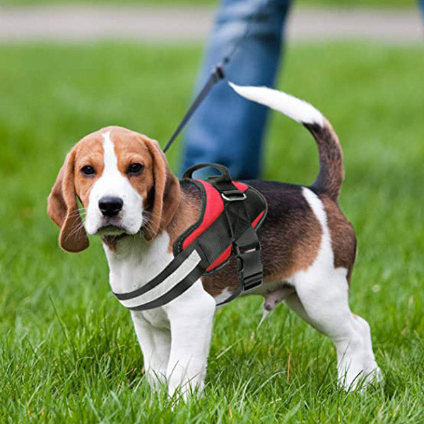 Reflective Dog Harness with Durable Handle