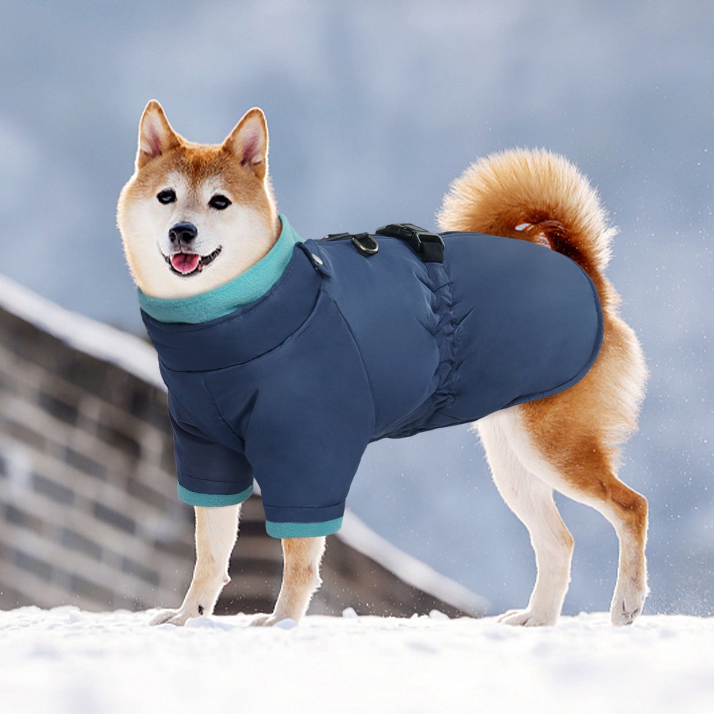 Windproof Dog Cold Weather Coat with Zipper