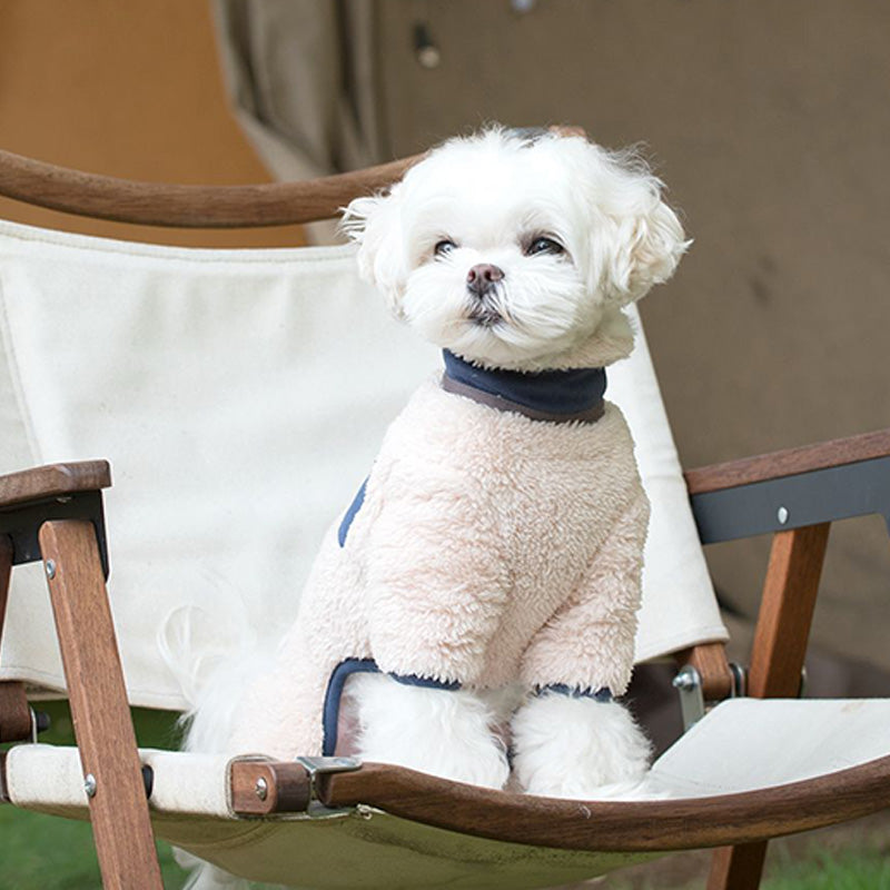 Four-Legged Cotton Padded Coat for Dogs