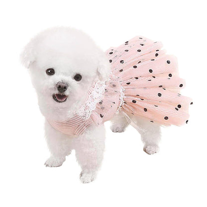 Polka Dot Lace Mesh Dog Tutu Dress