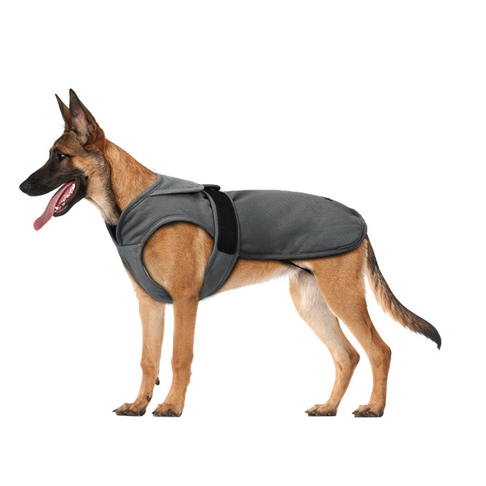 Canvas Cold Weather Dog Coat for Winter