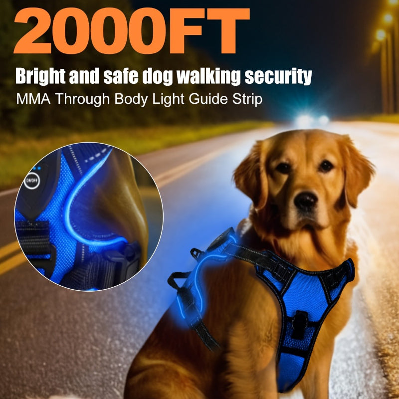 2‑Pack Night Light Dog Harness Set