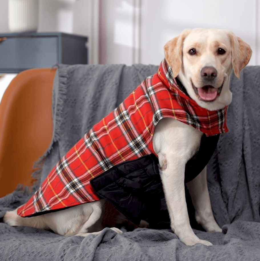 Plaid Reversible Dog Jacket for Winter