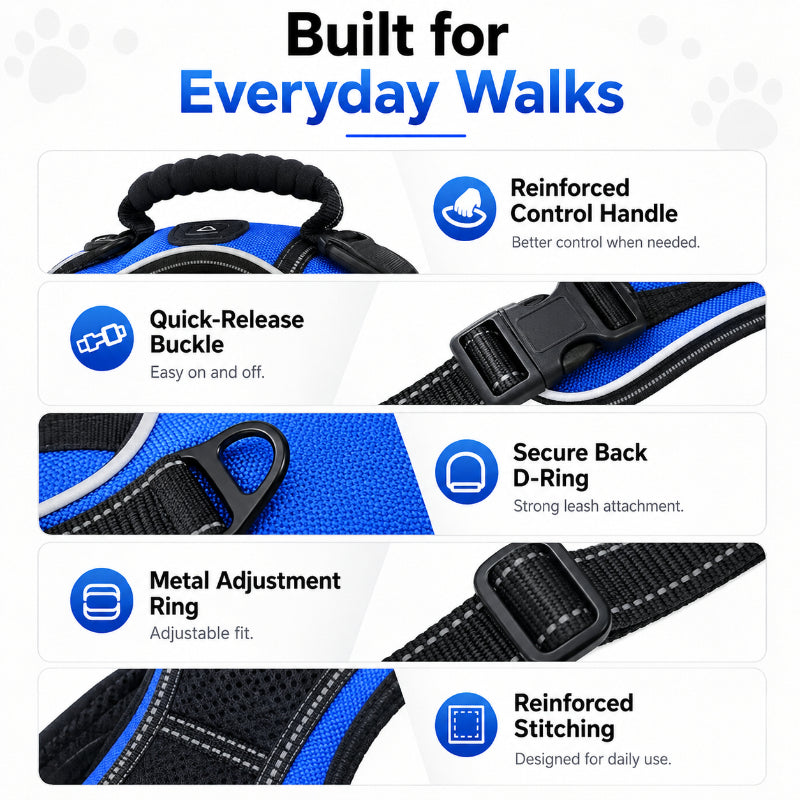 LED Night-Walk Safety Set