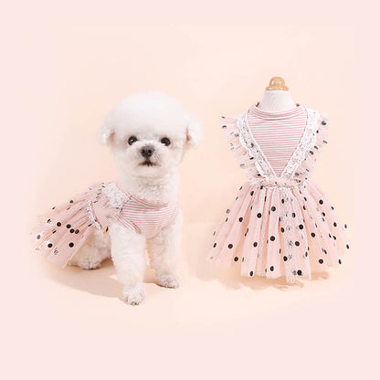 Polka Dot Lace Mesh Dog Tutu Dress