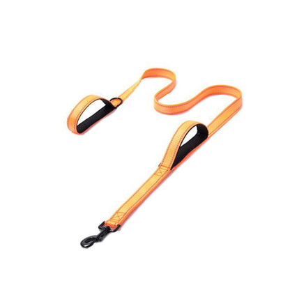 Double Handle Dog Leash for Walking Training