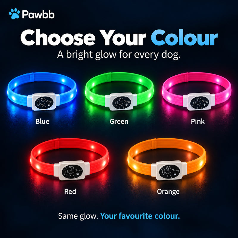 LED Night-Walk Safety Collar