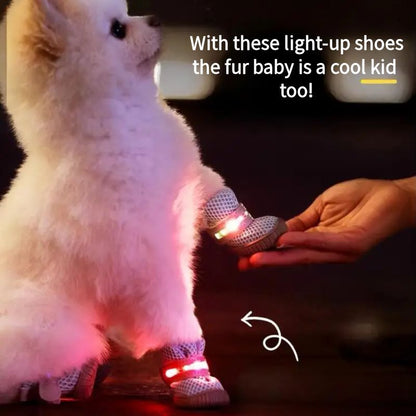 Dog Glowing shoes for Small Dogs (4 Pack)