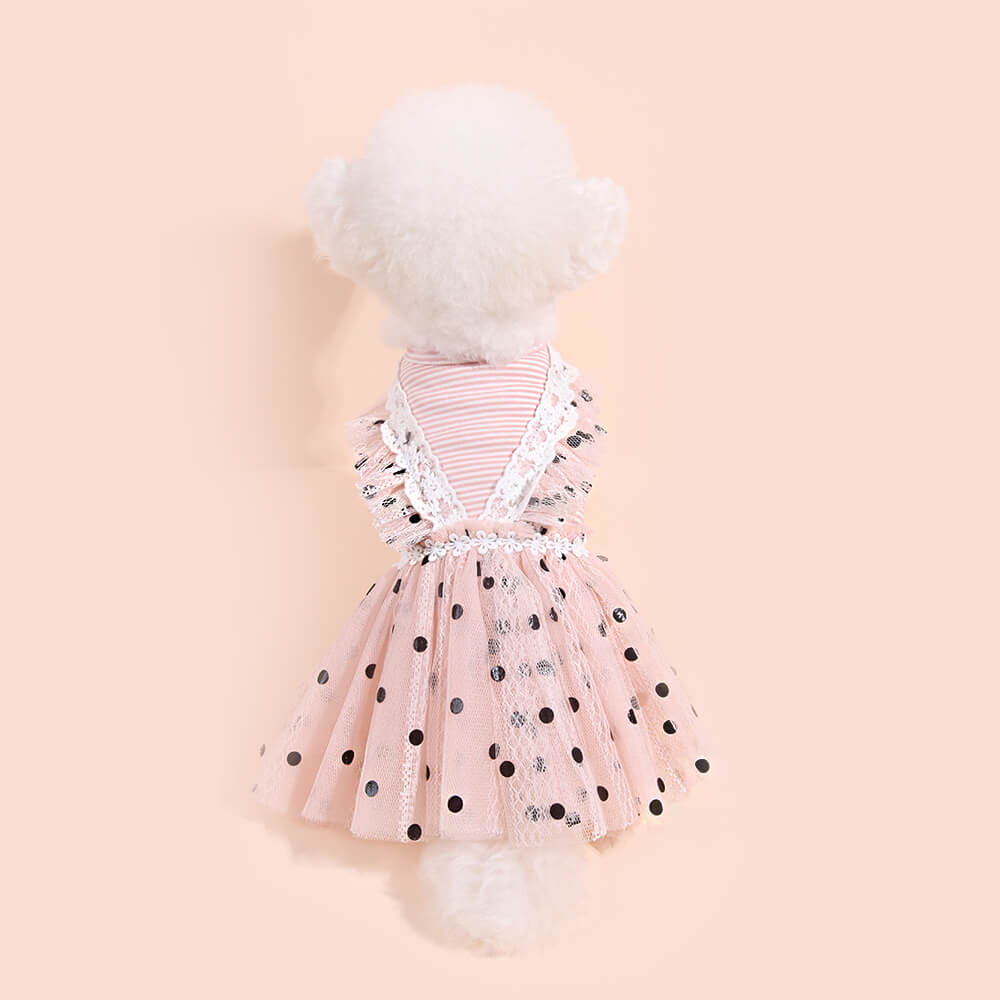 Polka Dot Lace Mesh Dog Tutu Dress